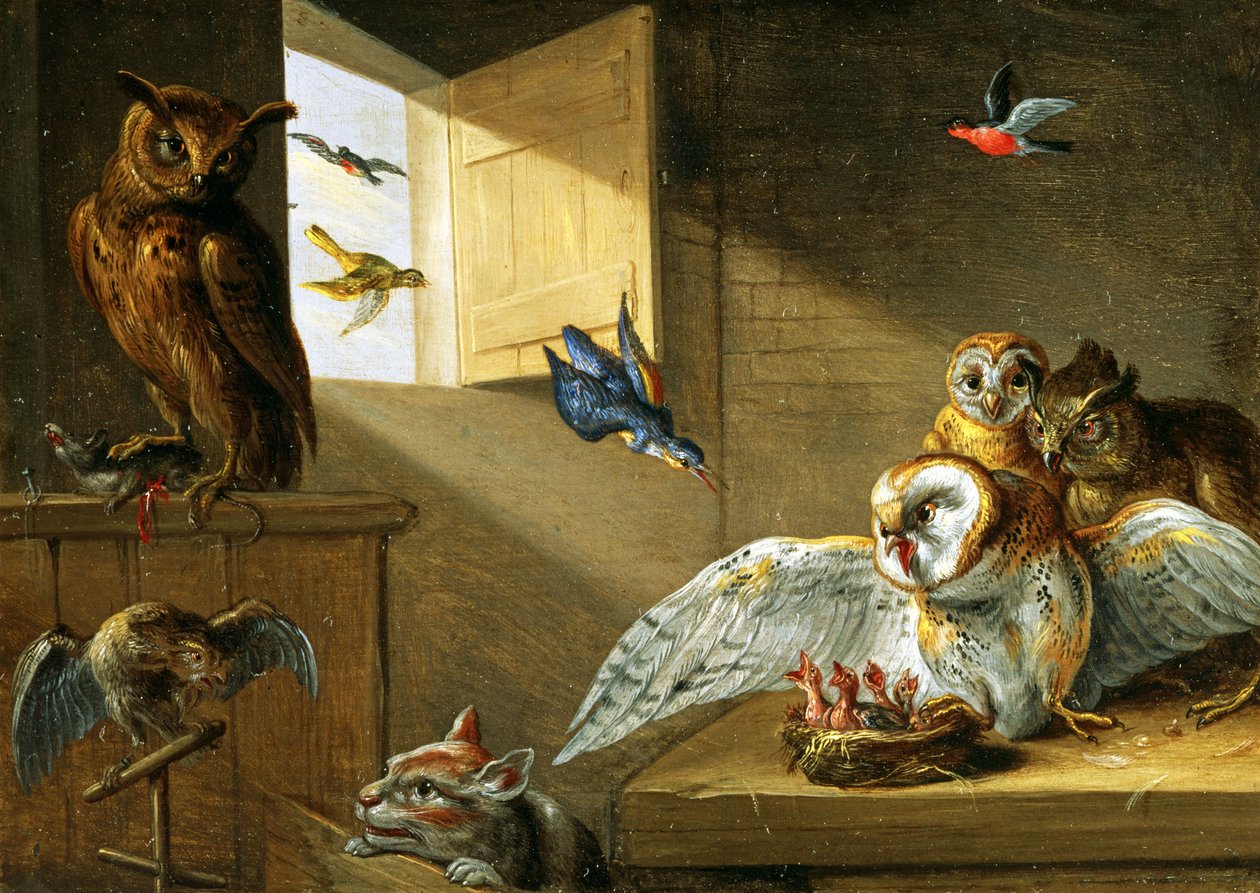 En familie af ugler, andre fugle og en kat (olie på kobber) af Jan van Kessel the Elder