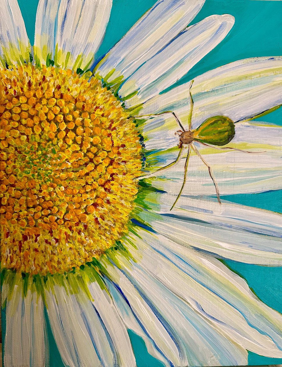 Watermelon Spider, 2023 (akryl på lærred) af Jan Barzottini
