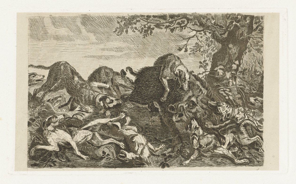 Hundejagt efter et vildsvin af Jan Cassiers
