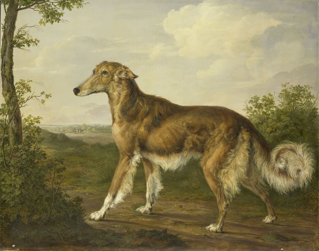Sibirisk Greyhound af Jan Dasveldt