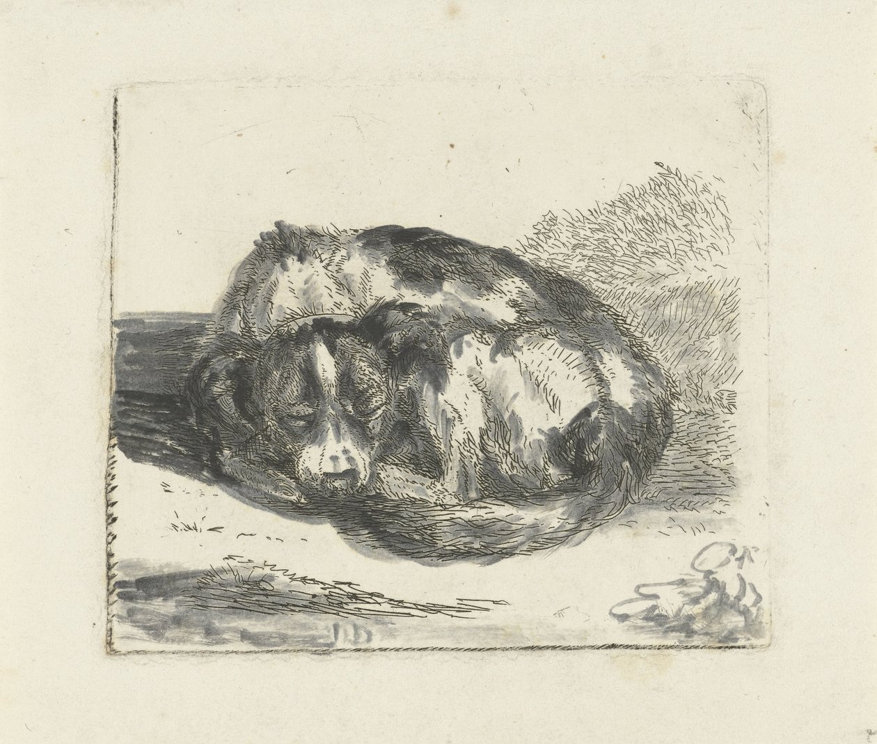 sovende hund af Jan Dasveldt