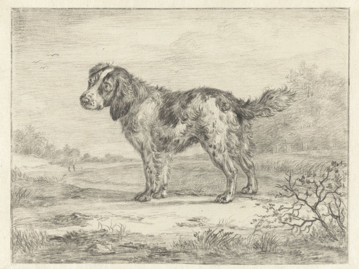 Spaniel stående i et landskab af Jan Dasveldt