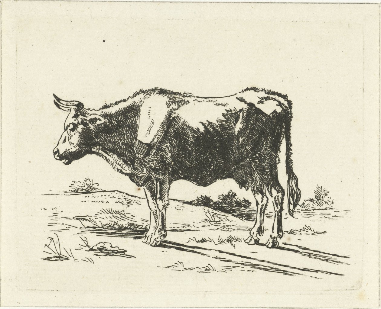 stående ko af Jan Dasveldt