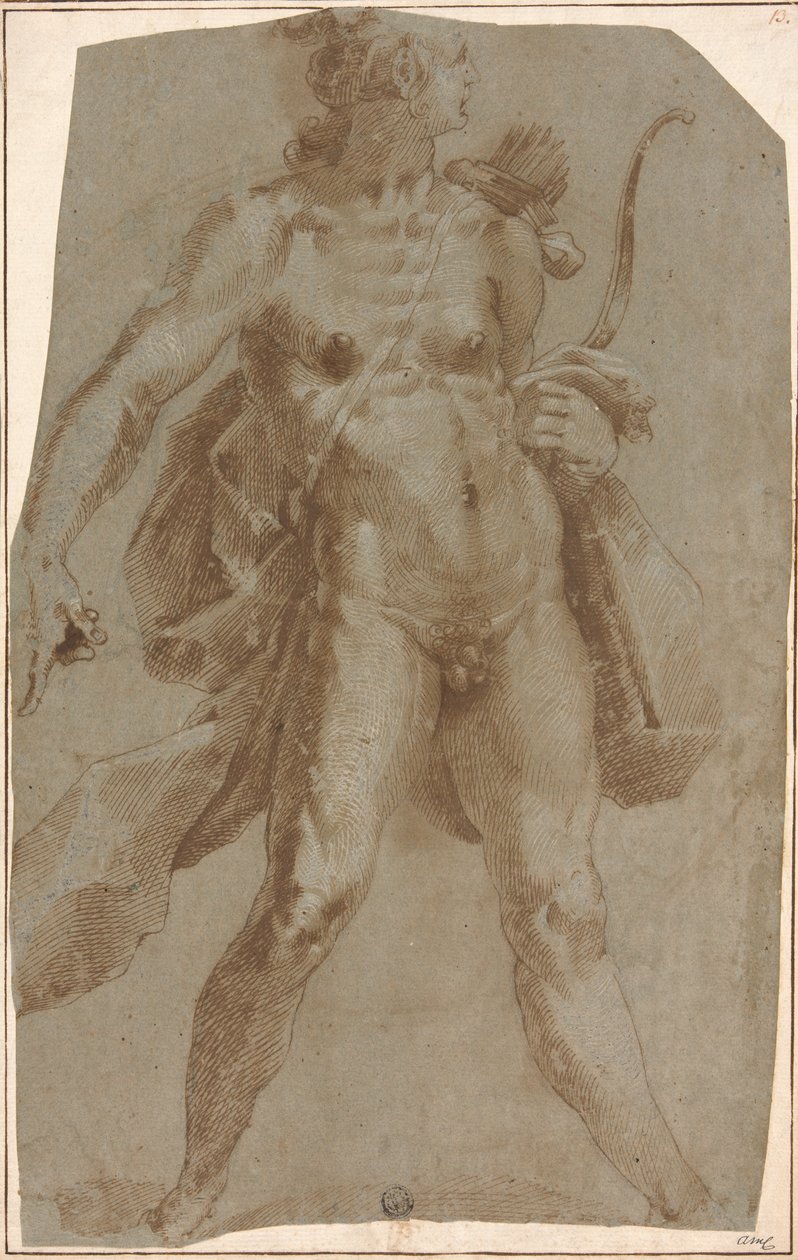 Apollo af Jan Harmensz. Muller