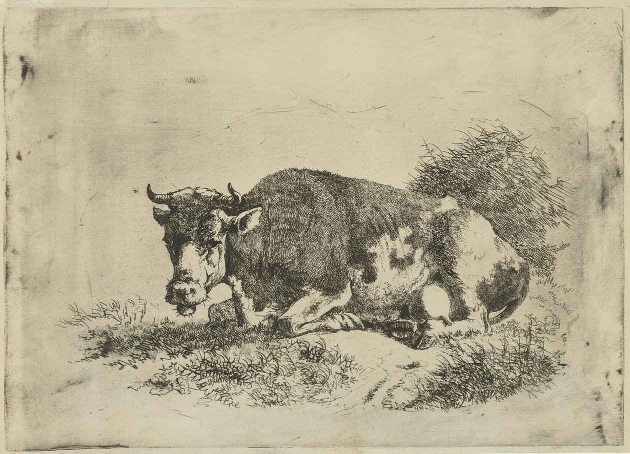 Liggende ko af Jan Kobell (III)