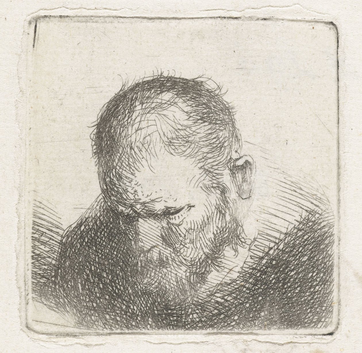 mand med skæg af Jan Lievens (possibly)
