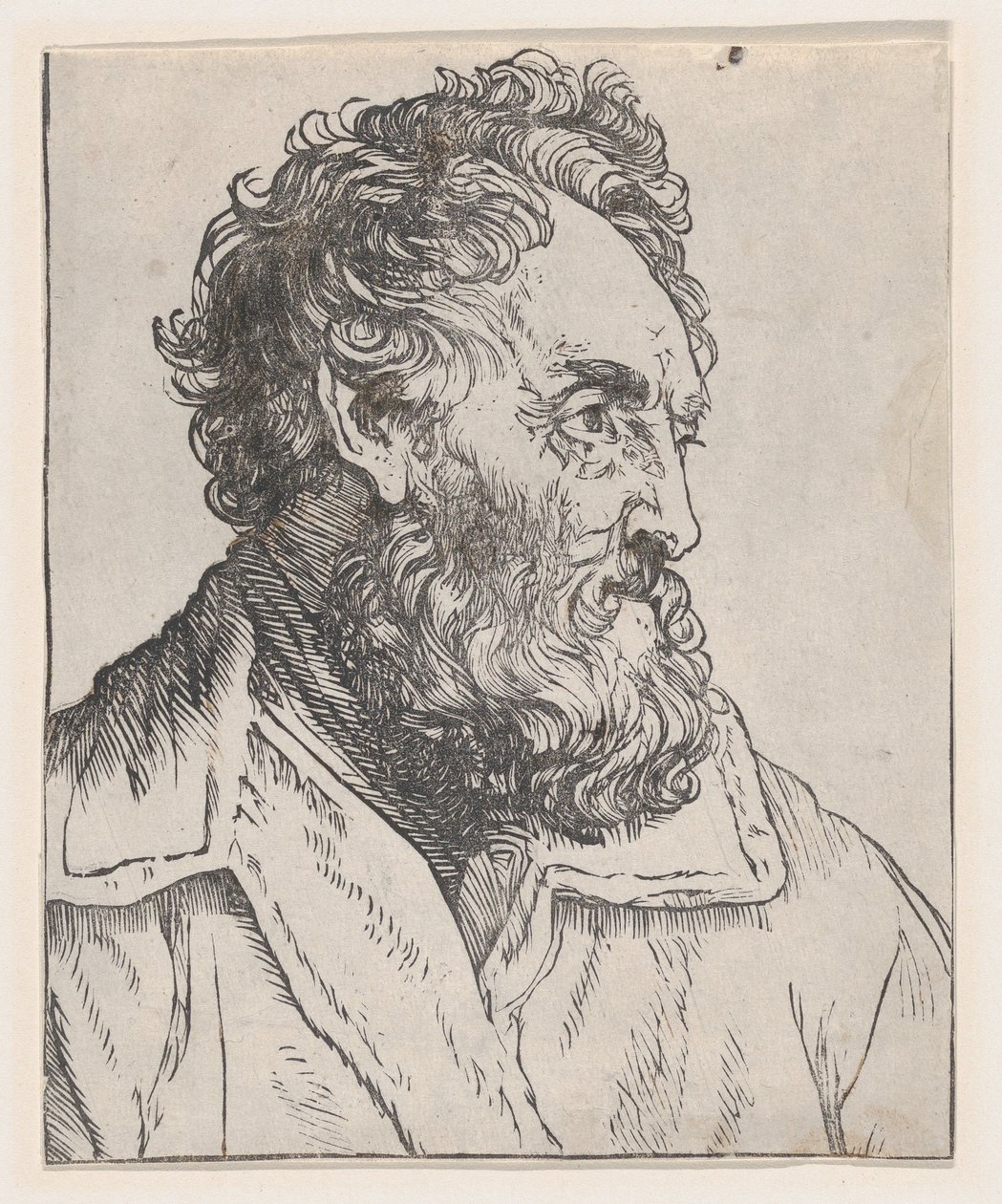 Head of a Man, 1600-tallet. af Jan Lievens