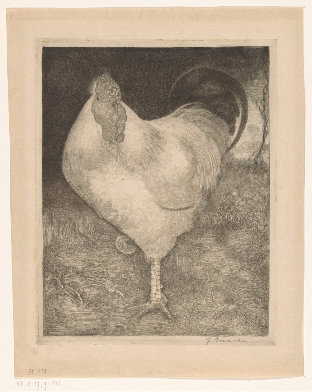 Hane på det ene ben af Jan Mankes (signed by artist)