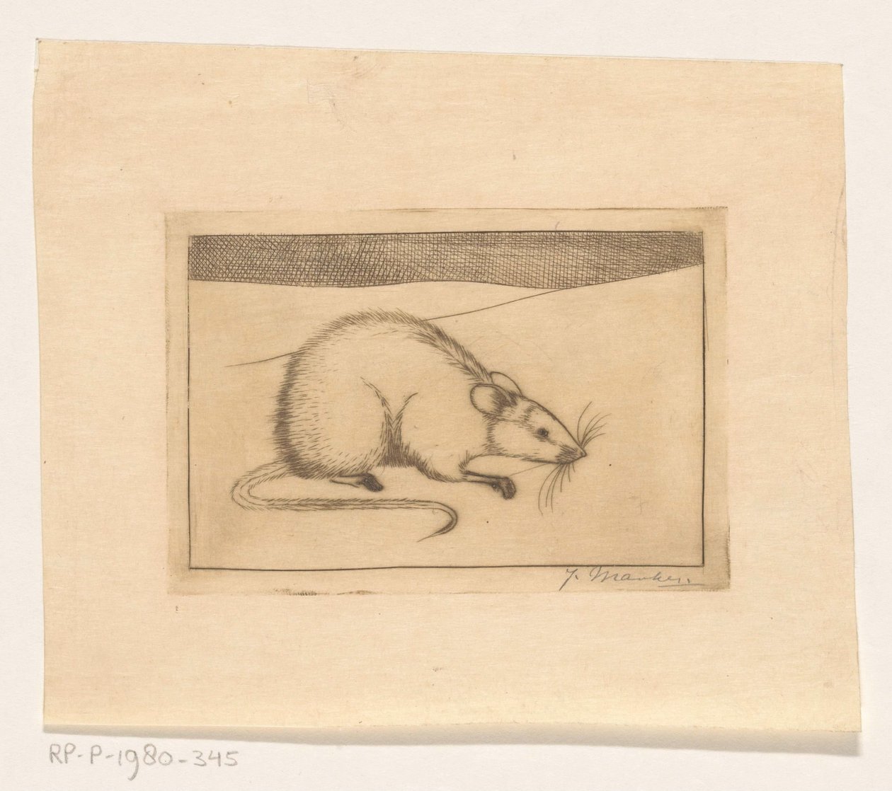 Mus af Jan Mankes (signed by artist)