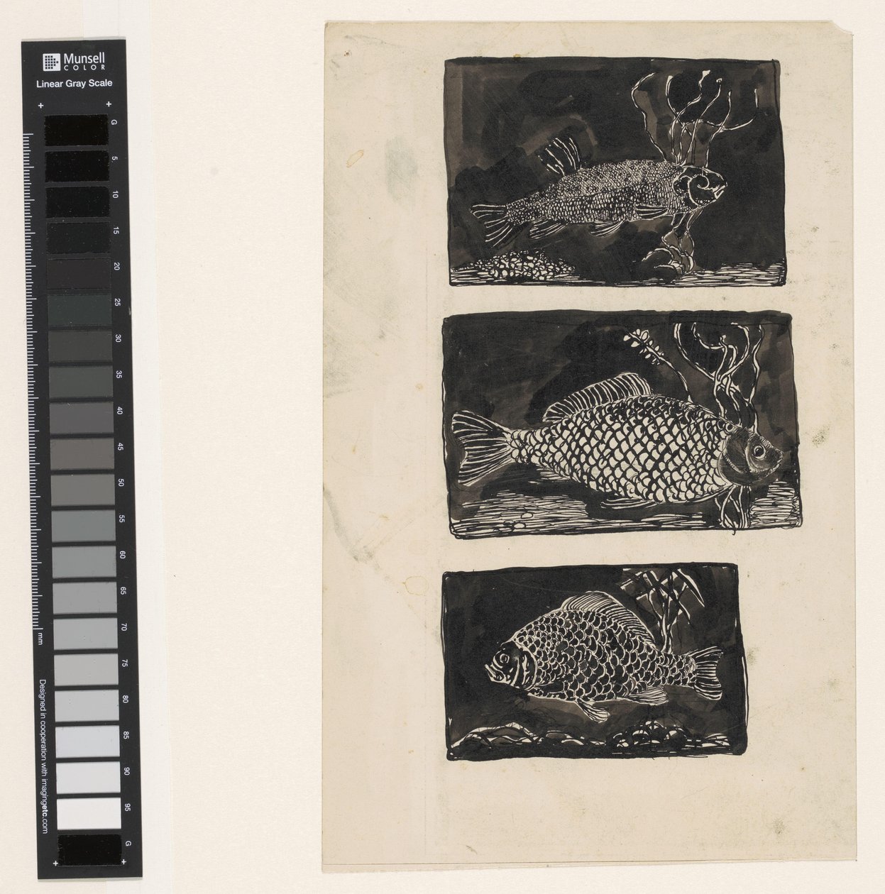 Tre fisk af Jan Mankes