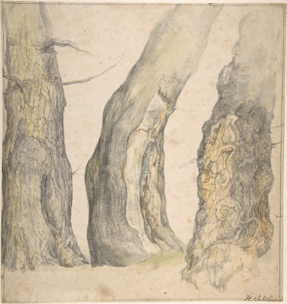 Studie af tre gamle knudrede træer, 1660. af Jan Siberechts