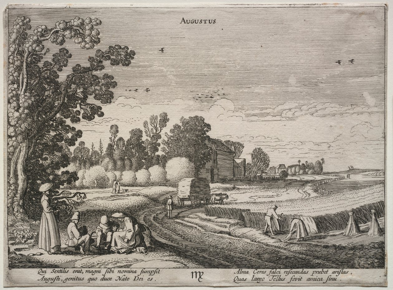 De tolv måneder: august. af Jan Van de Velde