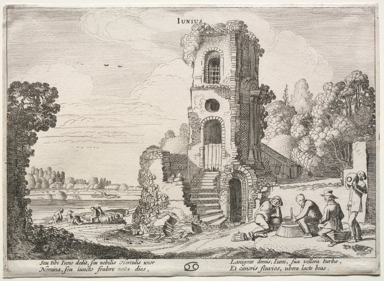 De tolv måneder: juni. af Jan Van de Velde