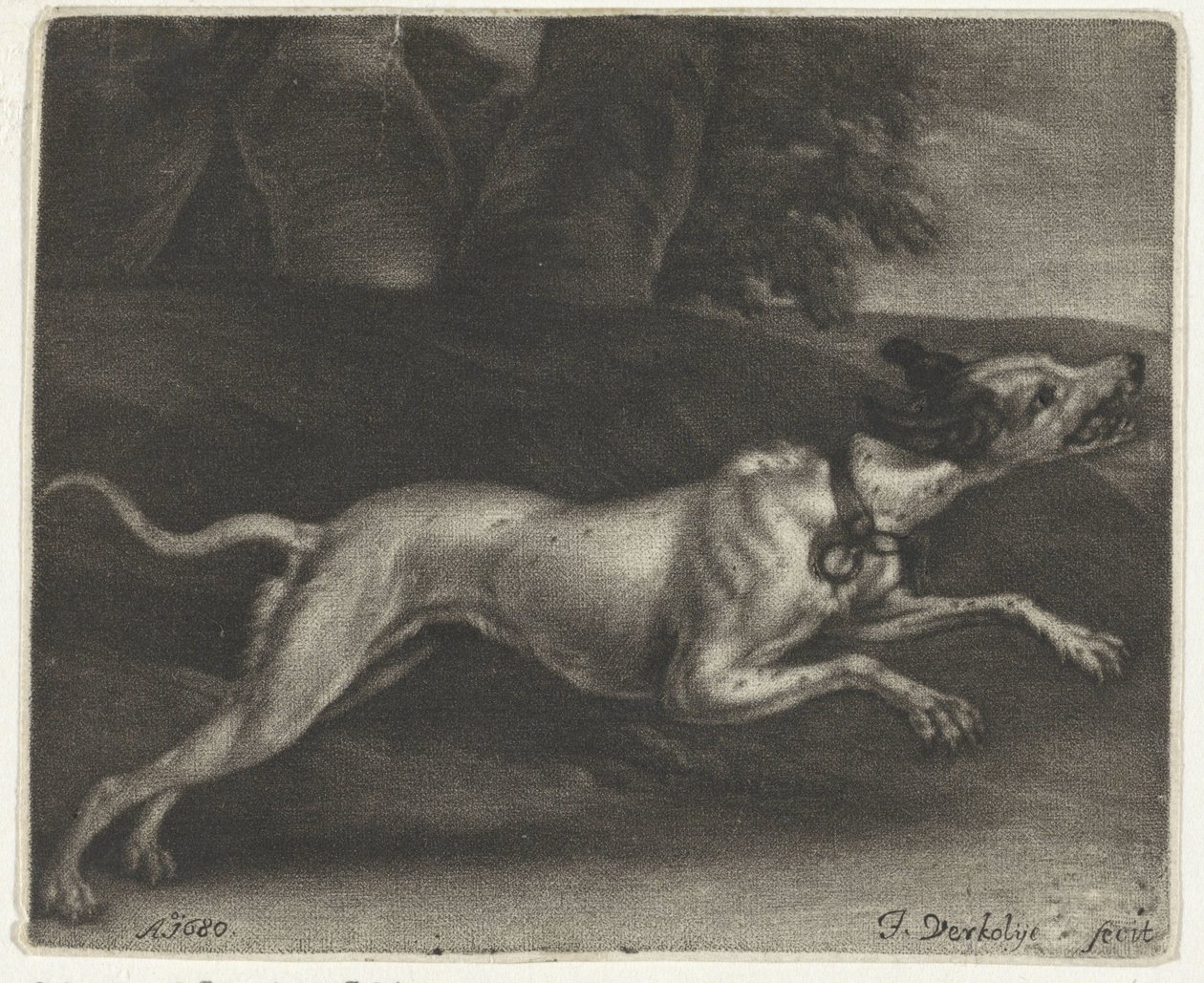 løbende hund af Jan Verkolje (I)