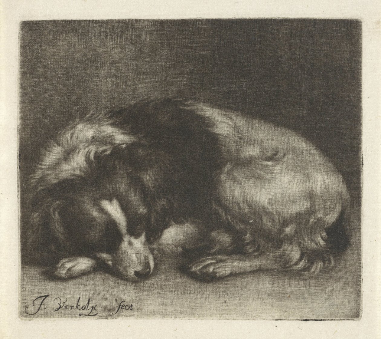 Sovende hund, muligvis en spaniel af Jan Verkolje (I)