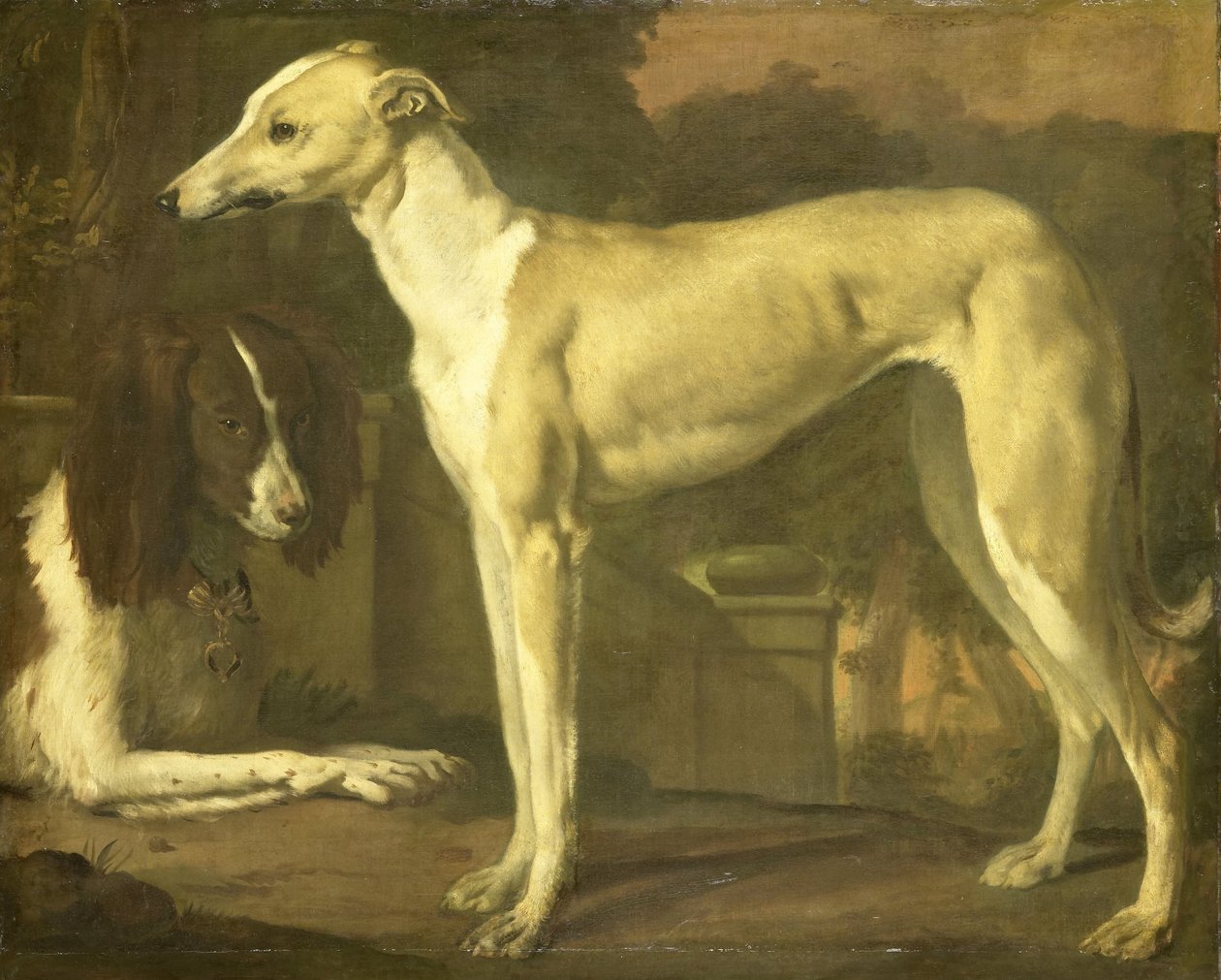 Portræt af en Greyhound og Spaniel af Jan Baptist Weenix