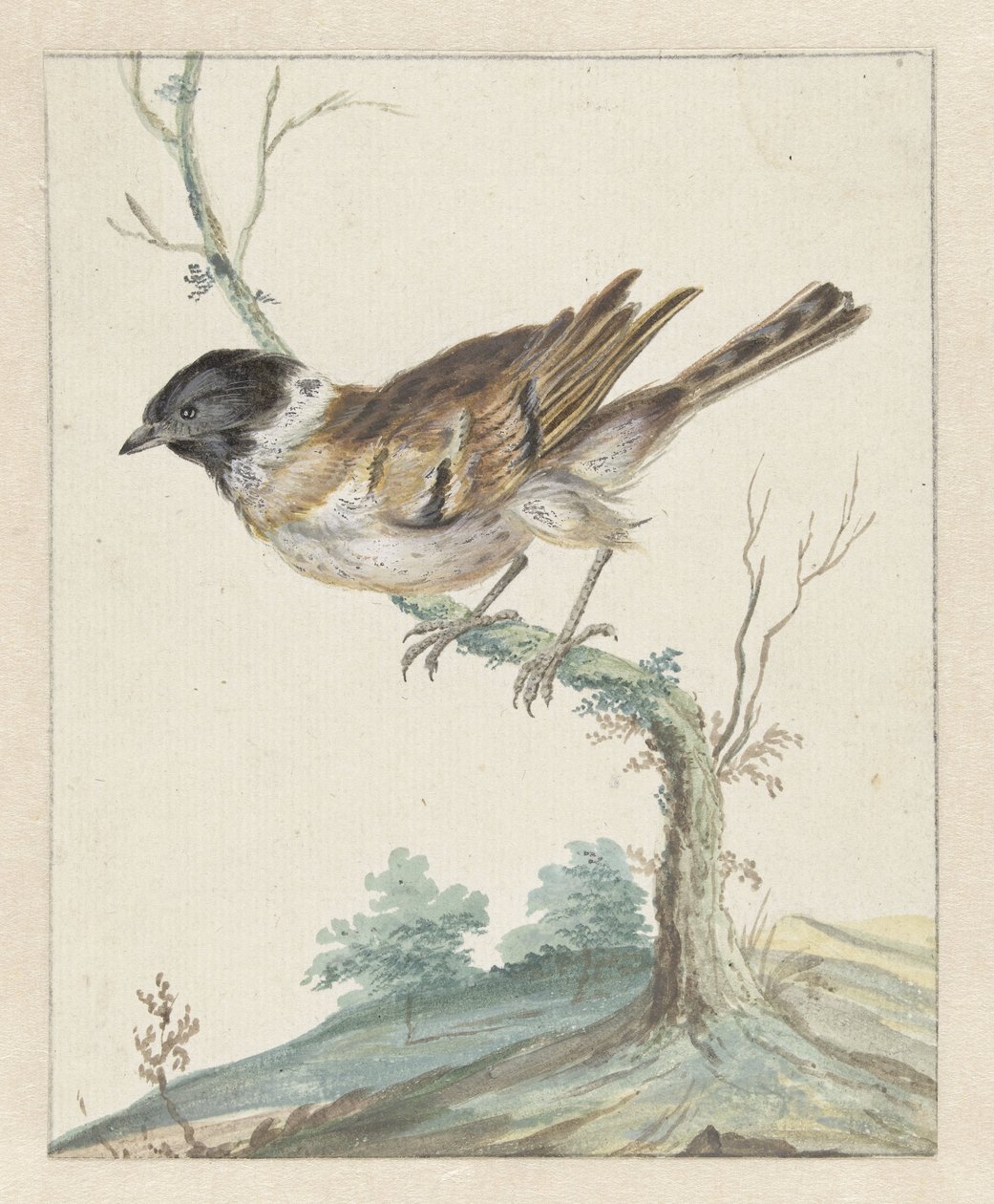 Rietgors (?) af Jan Baptist Weenix