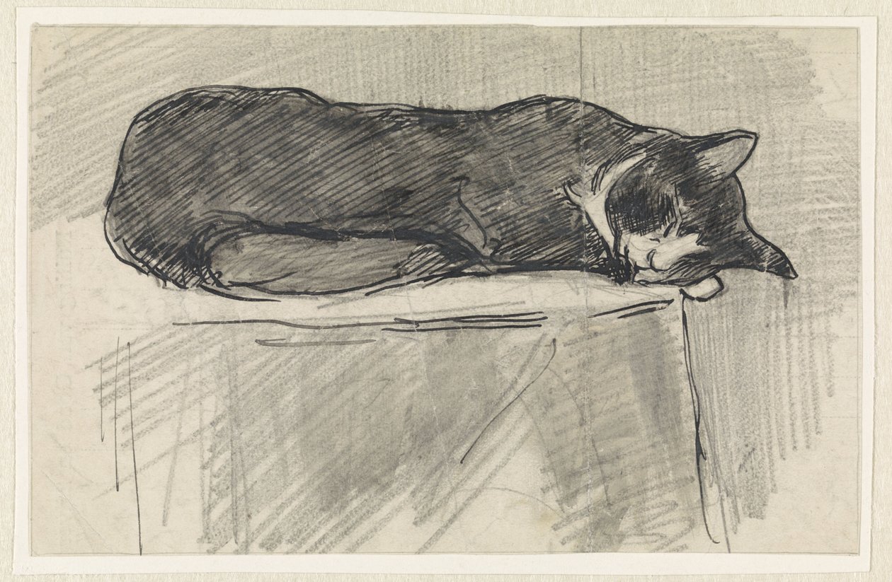 sovende kat af Jan van Essen