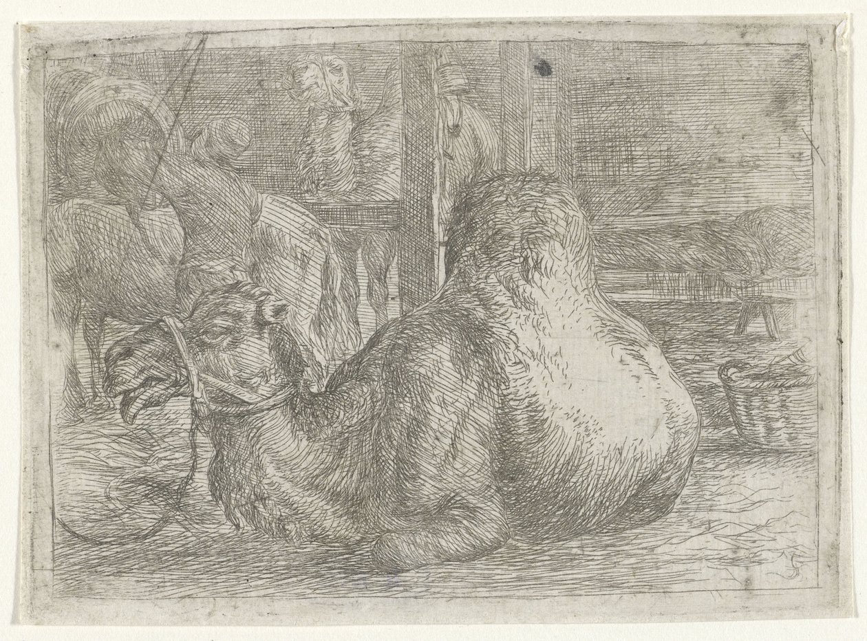 Liggende kamel af Jan van Ossenbeeck