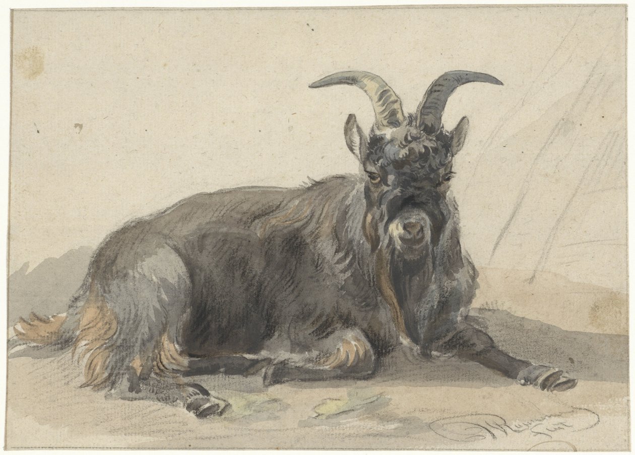 Liggende sort ged af Jan van Ravenswaay