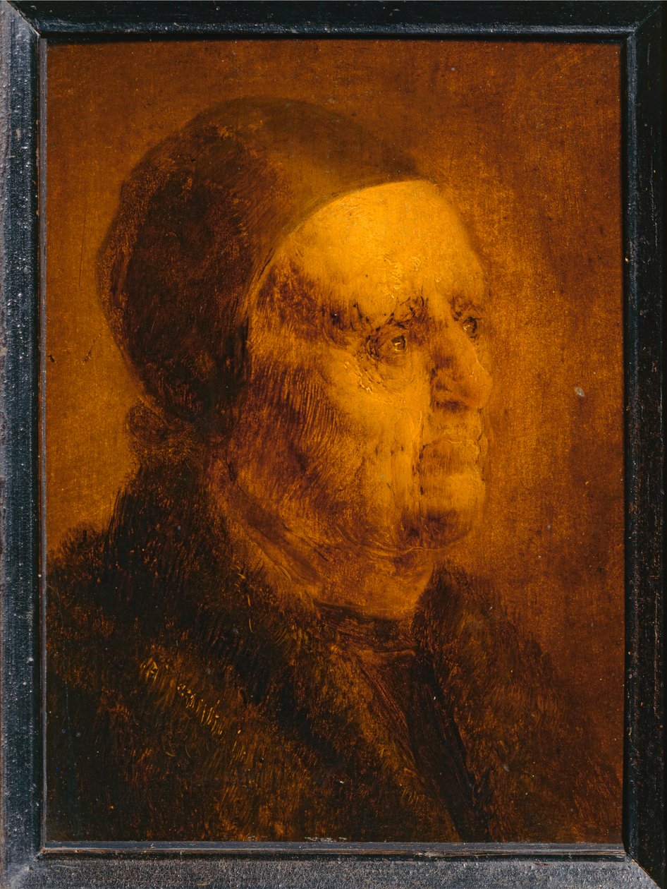 Den gamle mands studiehoved ... af Jan van de Venne