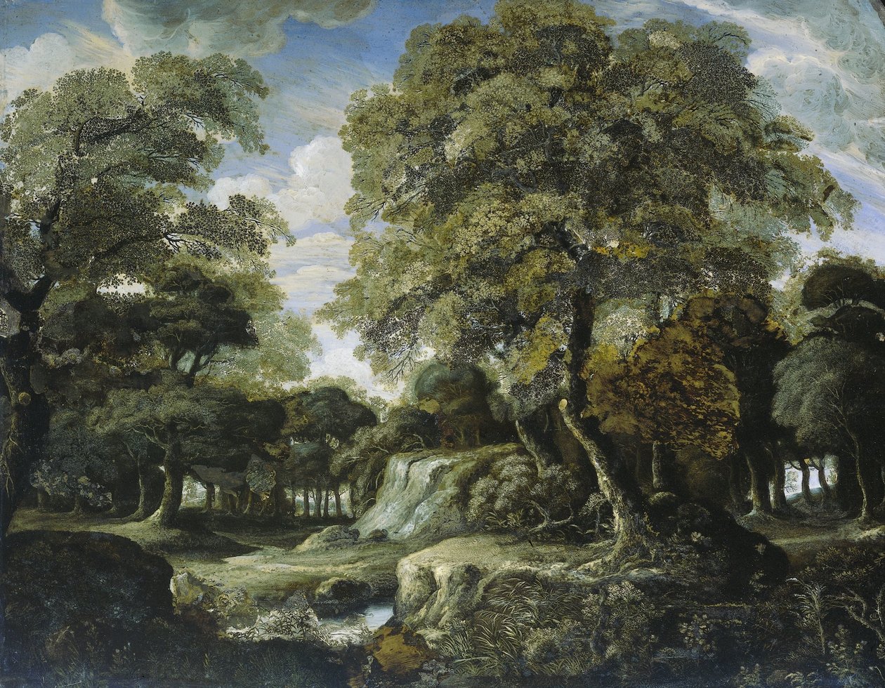 Udsigt i skoven af Jan van der Heyden