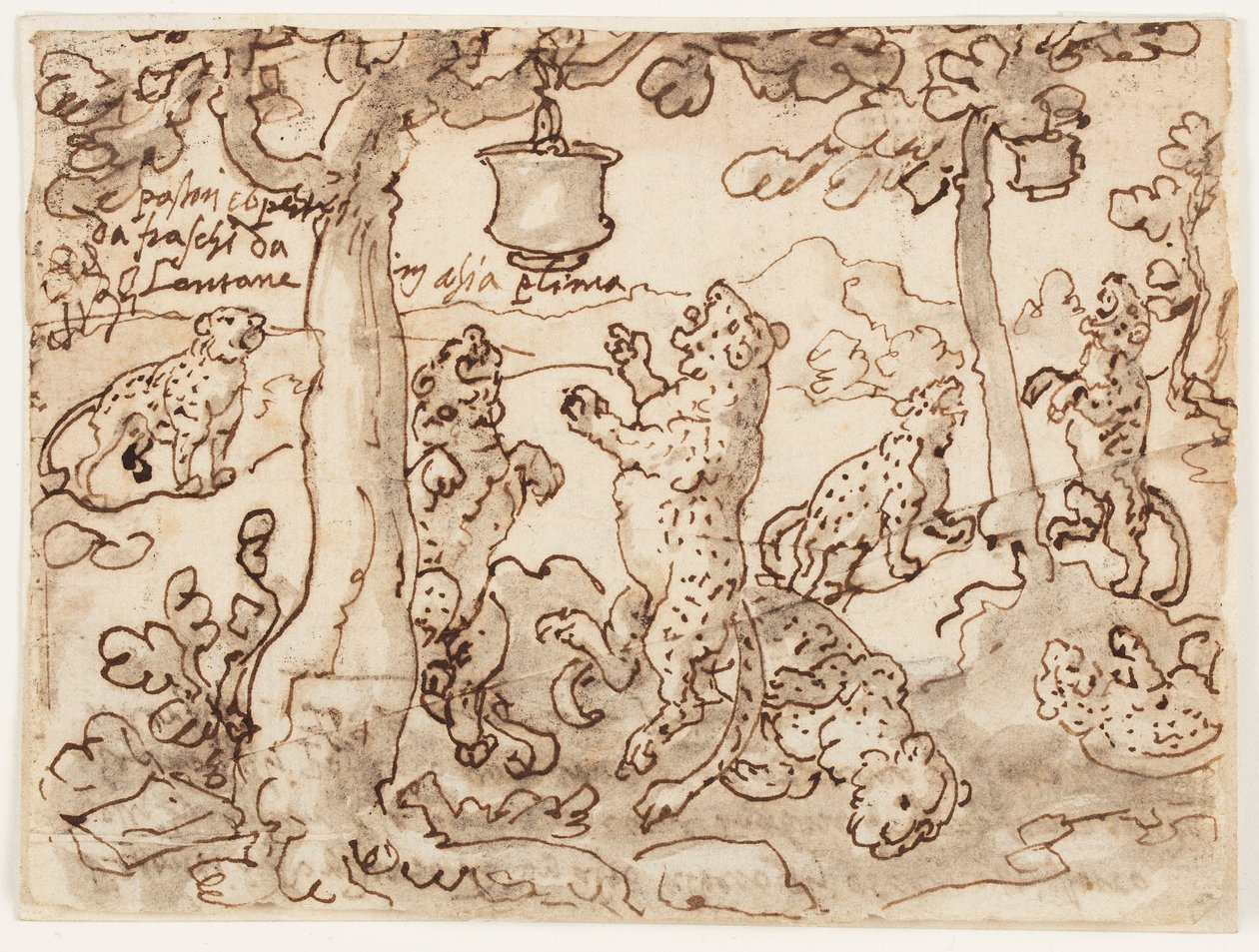 Panterfælden af Jan van der Straet, called Stradanus