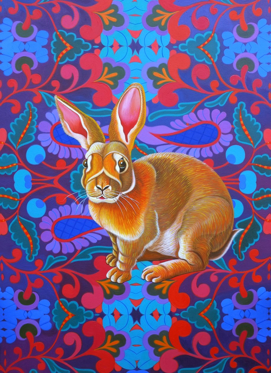 Kanin, 2014, af Jane Tattersfield