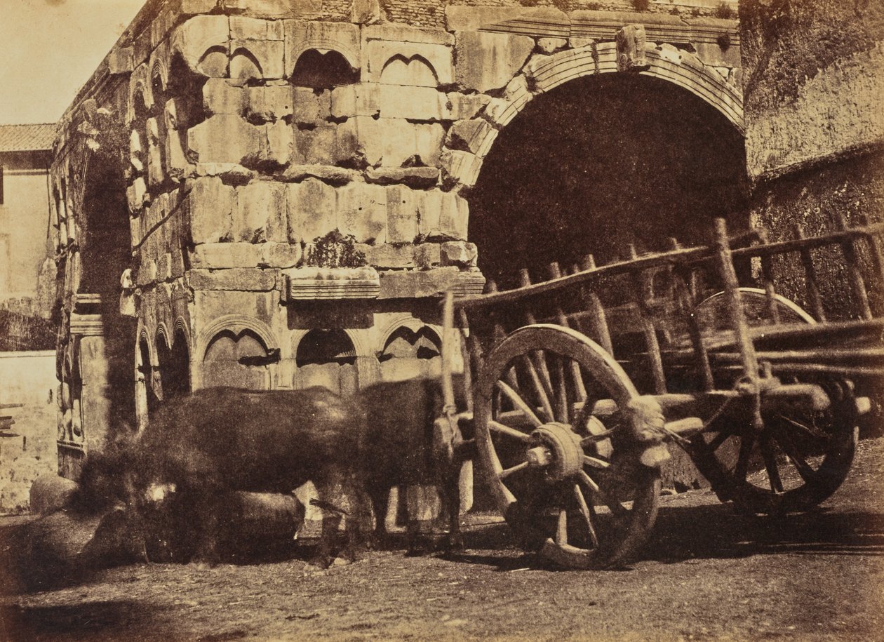 Buffalo Cart, Rom af Jane Martha St. John