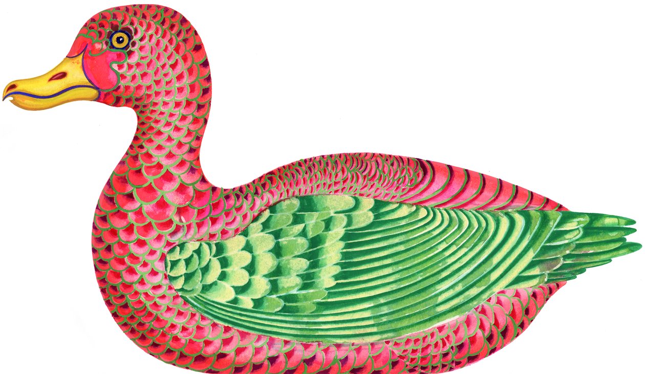 Duck, 1996, (blæk og gouache) af Jane Tattersfield