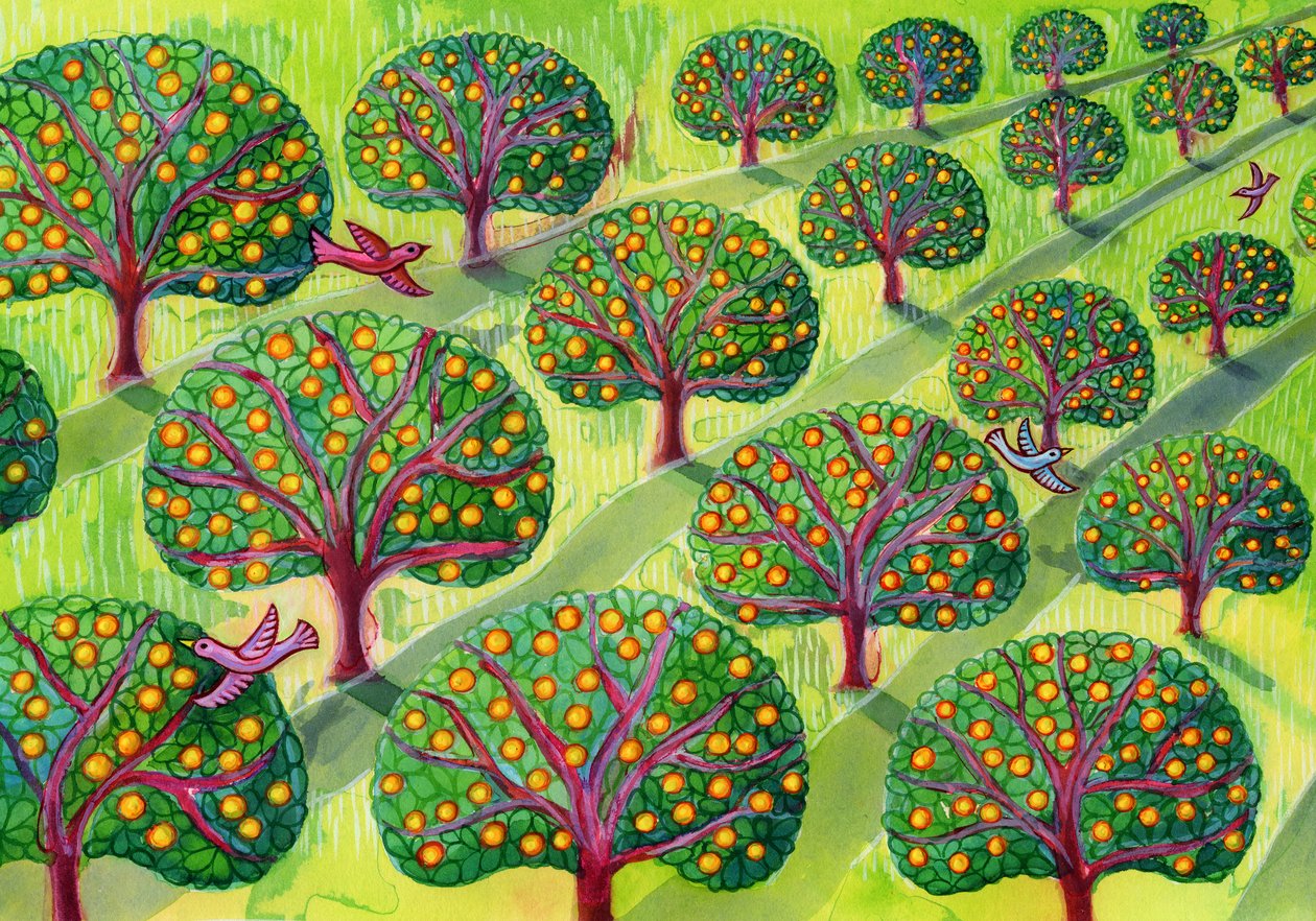 frugthave af Jane Tattersfield