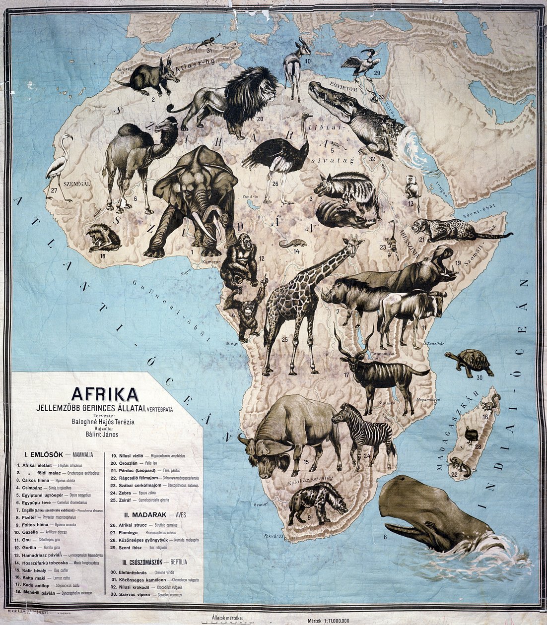 Kort over dyr i Afrika (farvestik) Sf af Janos Balint