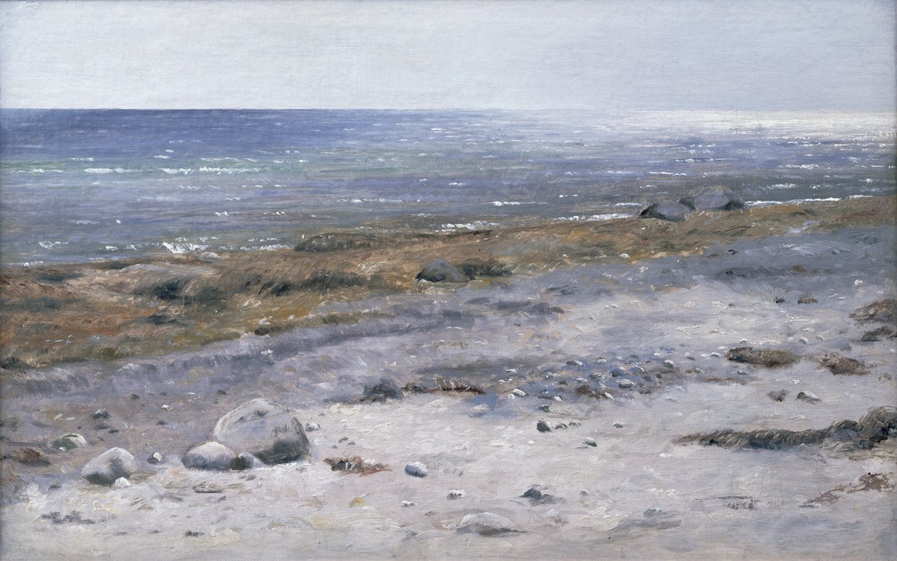Stranden, Mols af Janus La Cour