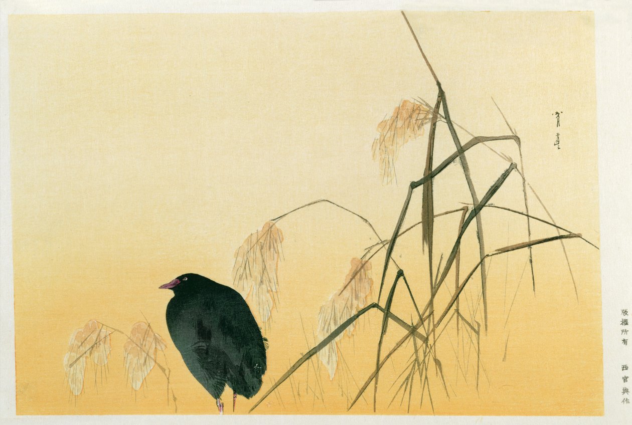 Blackbird, Edo Periode (silke rulle) af Japanese School