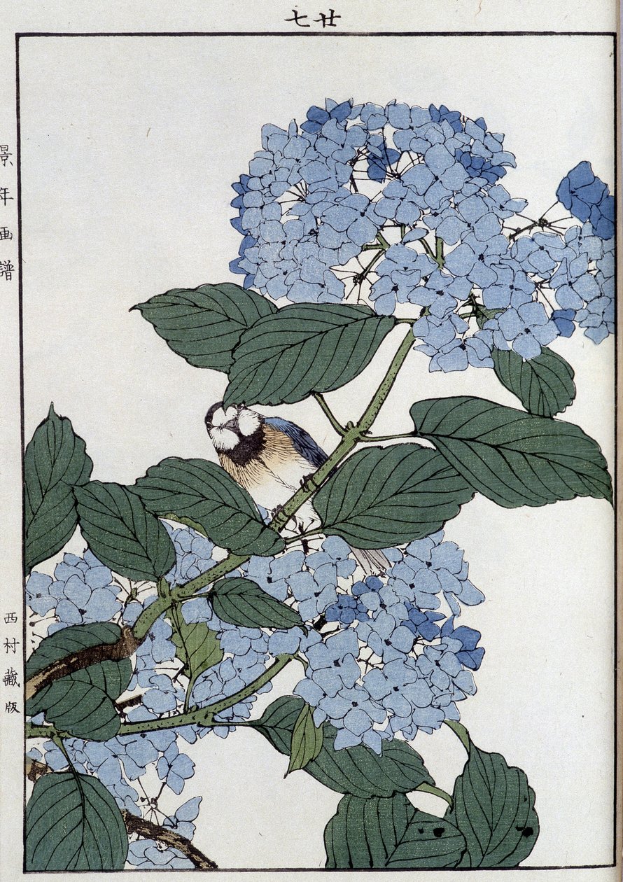 Fugl i hortensia - japansk tryk af Japanese School