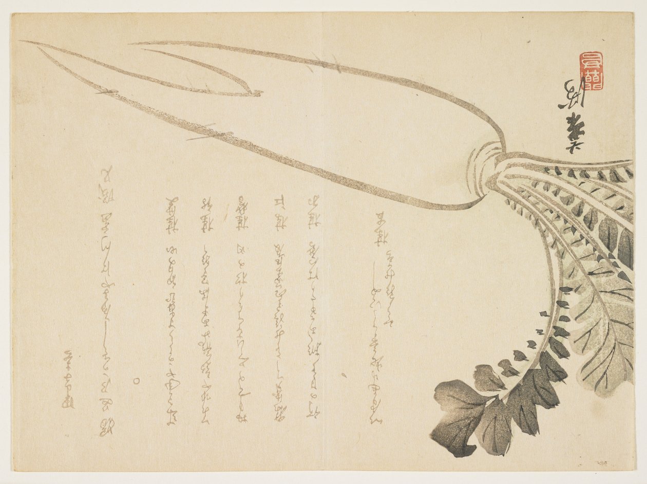 Daikon radise, januar 1864 (træbloktryk i farver) af Japanese School