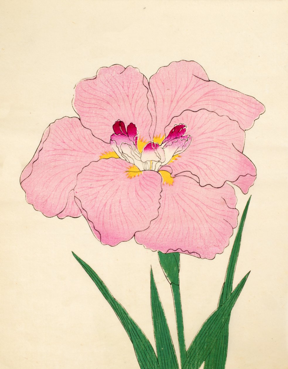 Gofukushoshu, nr. 86, 1890 (træbloktryk i farver) af Japanese School