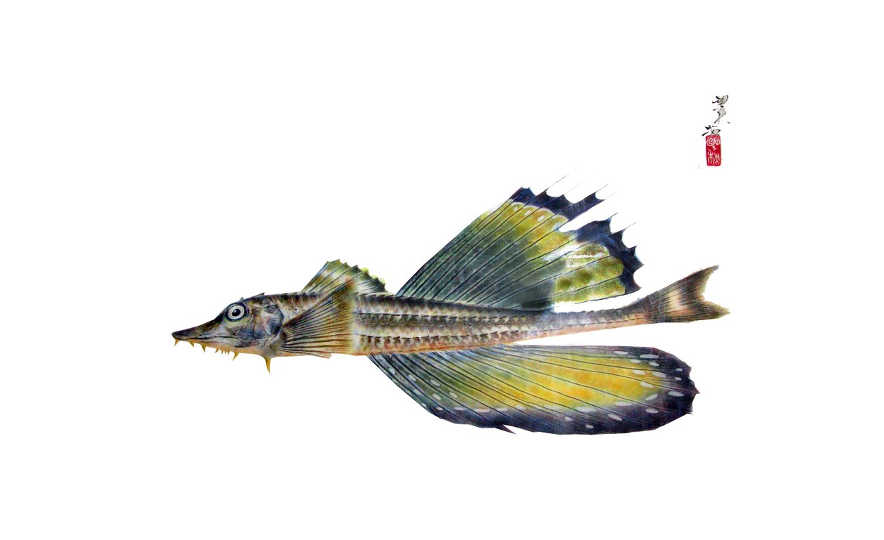 gyotaku af Japanese School