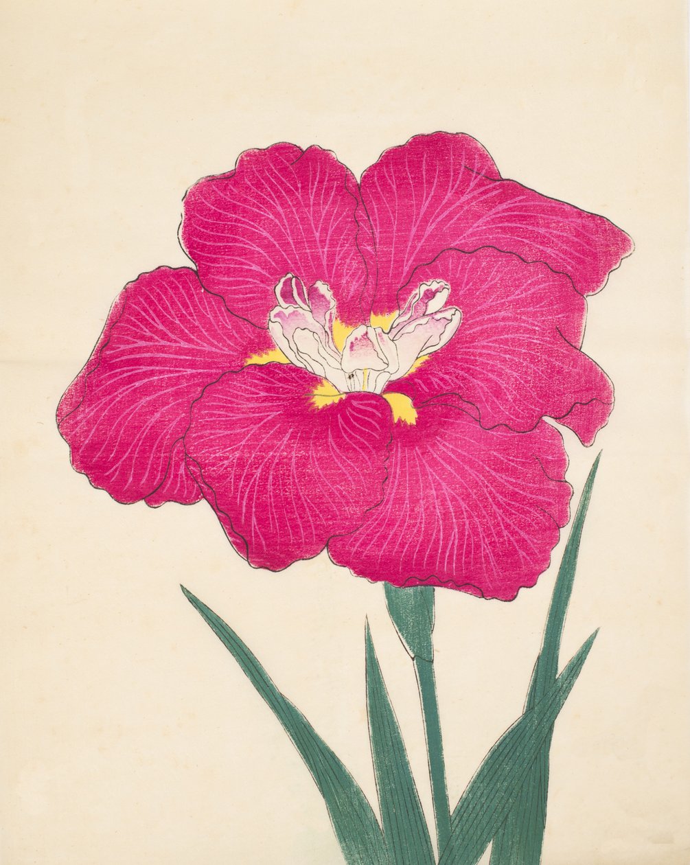 Kaga Lee dag, af. 38, 1890 af Japanese School