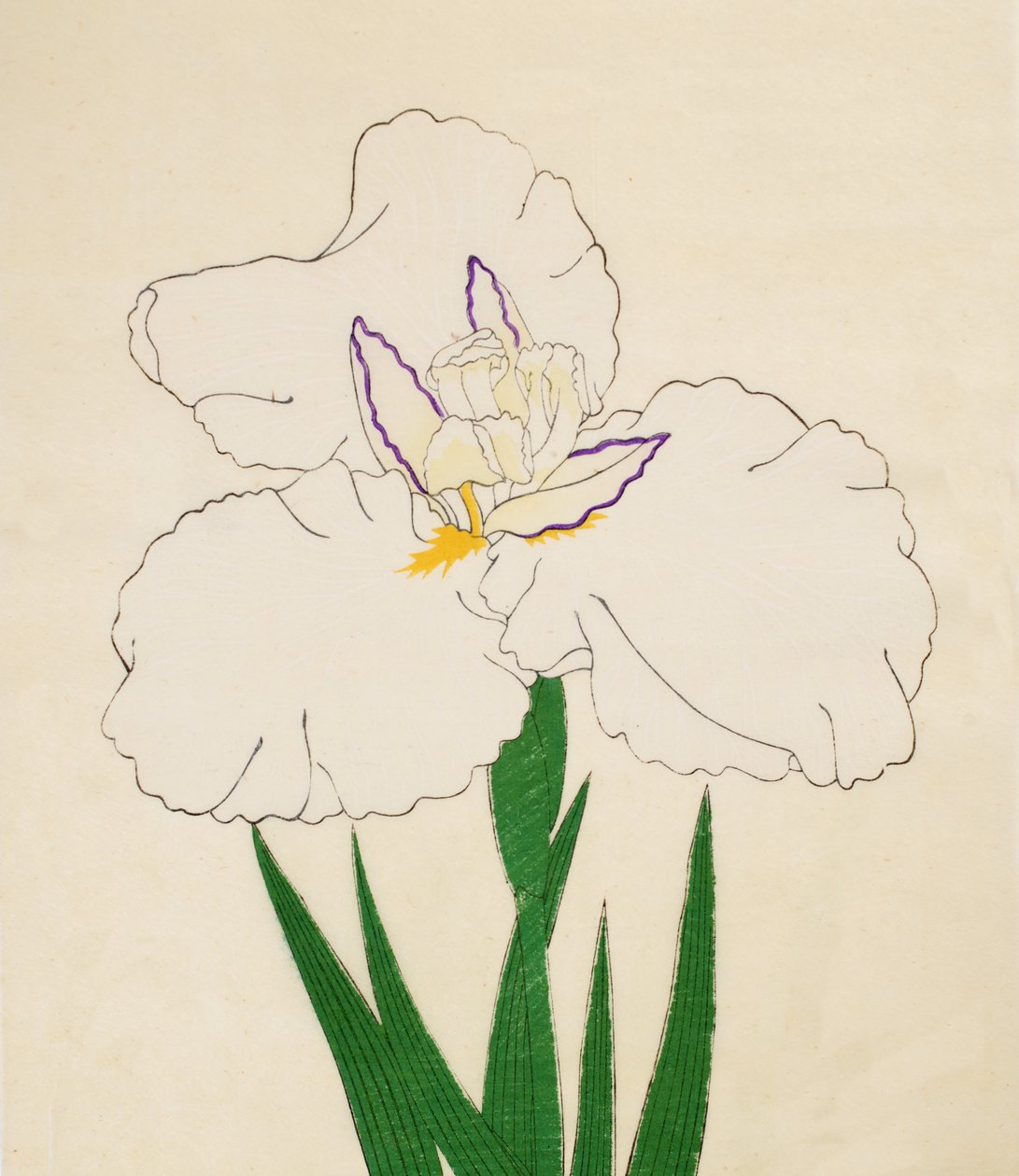 Hårvindue-med nr. 65, 1890 (Dette er DBock p Hayashi t) af Japanese School