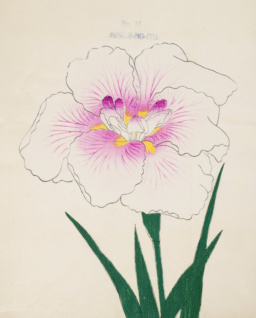 Frøken Gino. -Tråd, af. 17, 1898 af Japanese School