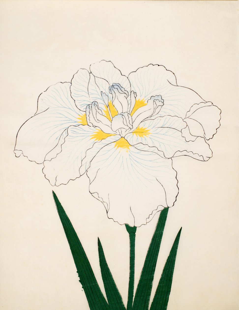 Med Morono. 97, 1890 af Japanese School