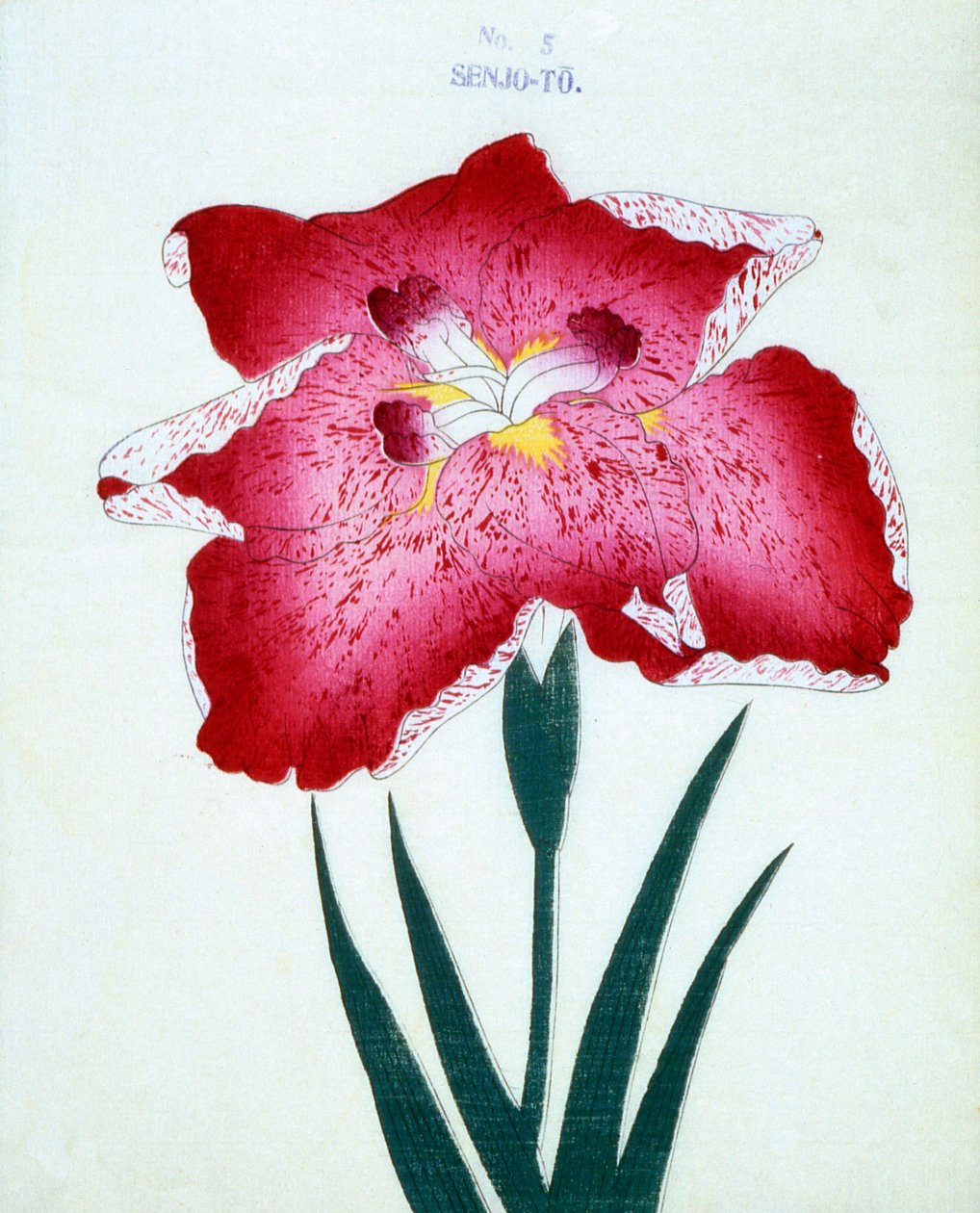 Med Senjo. 5, 1898 af Japanese School