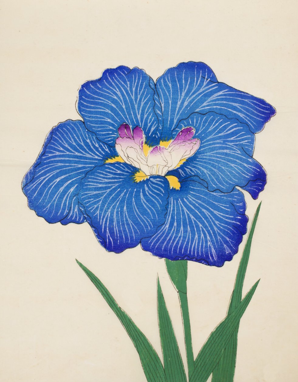 Ko Ono. -Røg. 47, 1898 af Japanese School