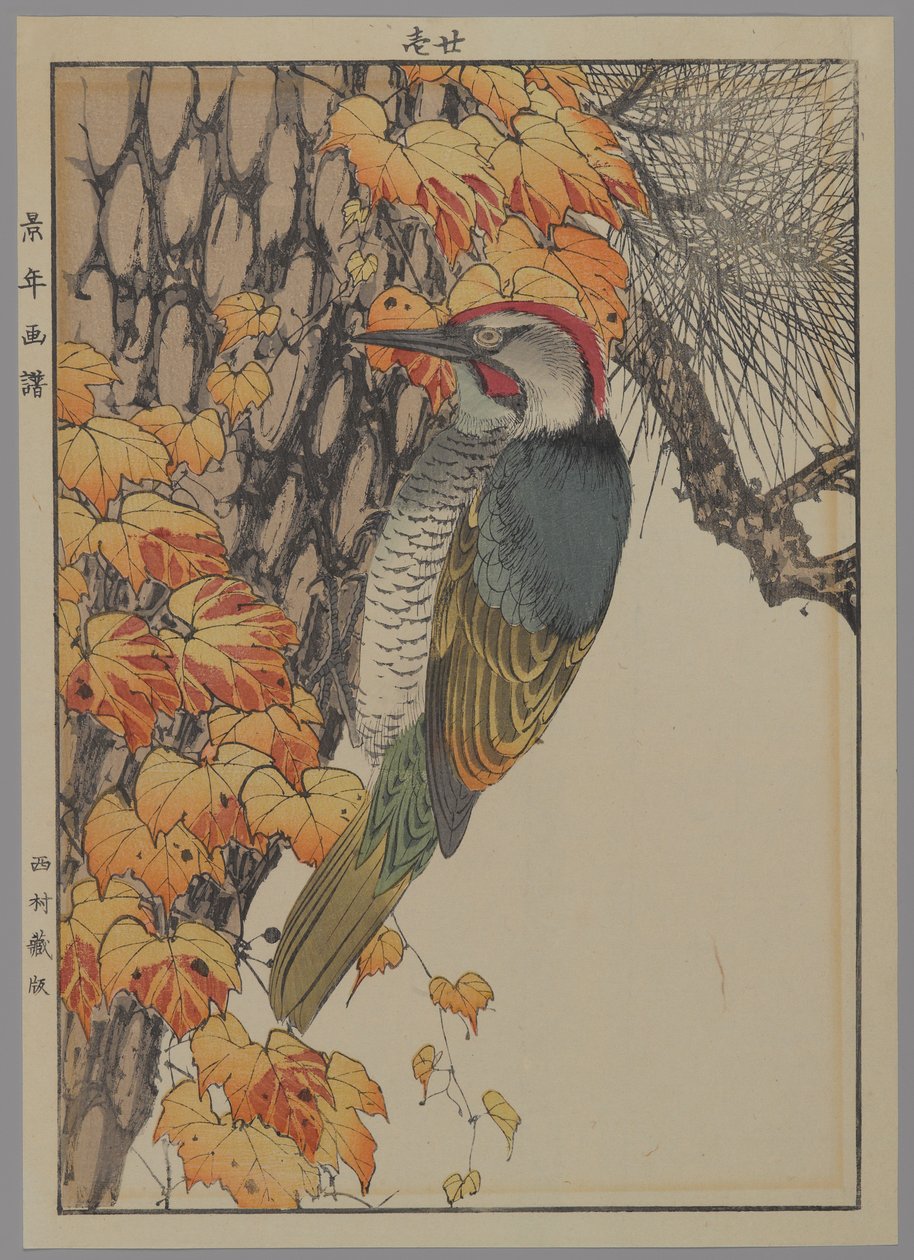 Spætte, 1892 (træbloktryk i farver) af Japanese School