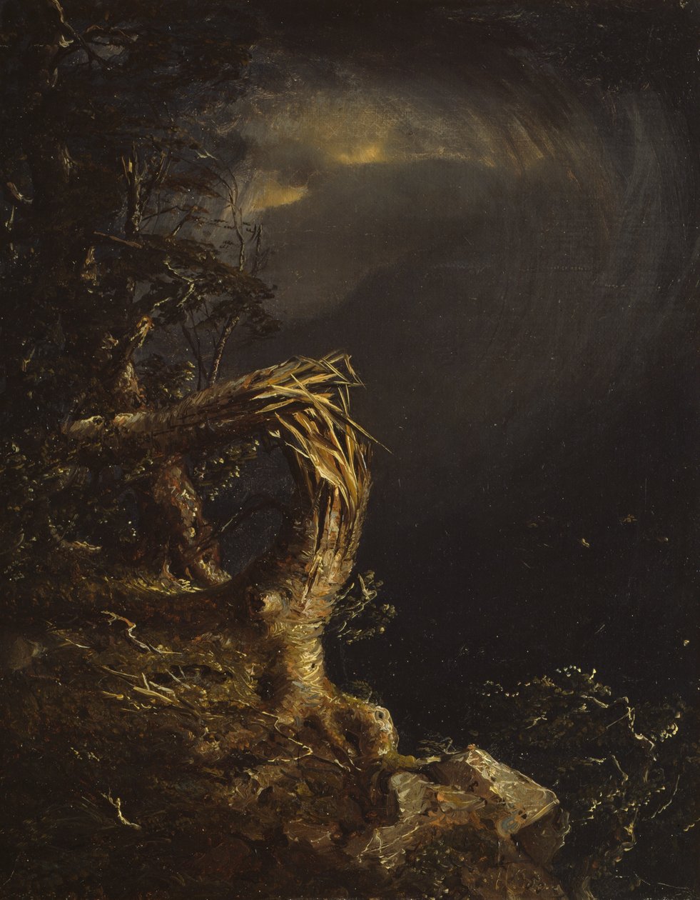 Sprængt træ, 1850. af Jasper Francis Cropsey