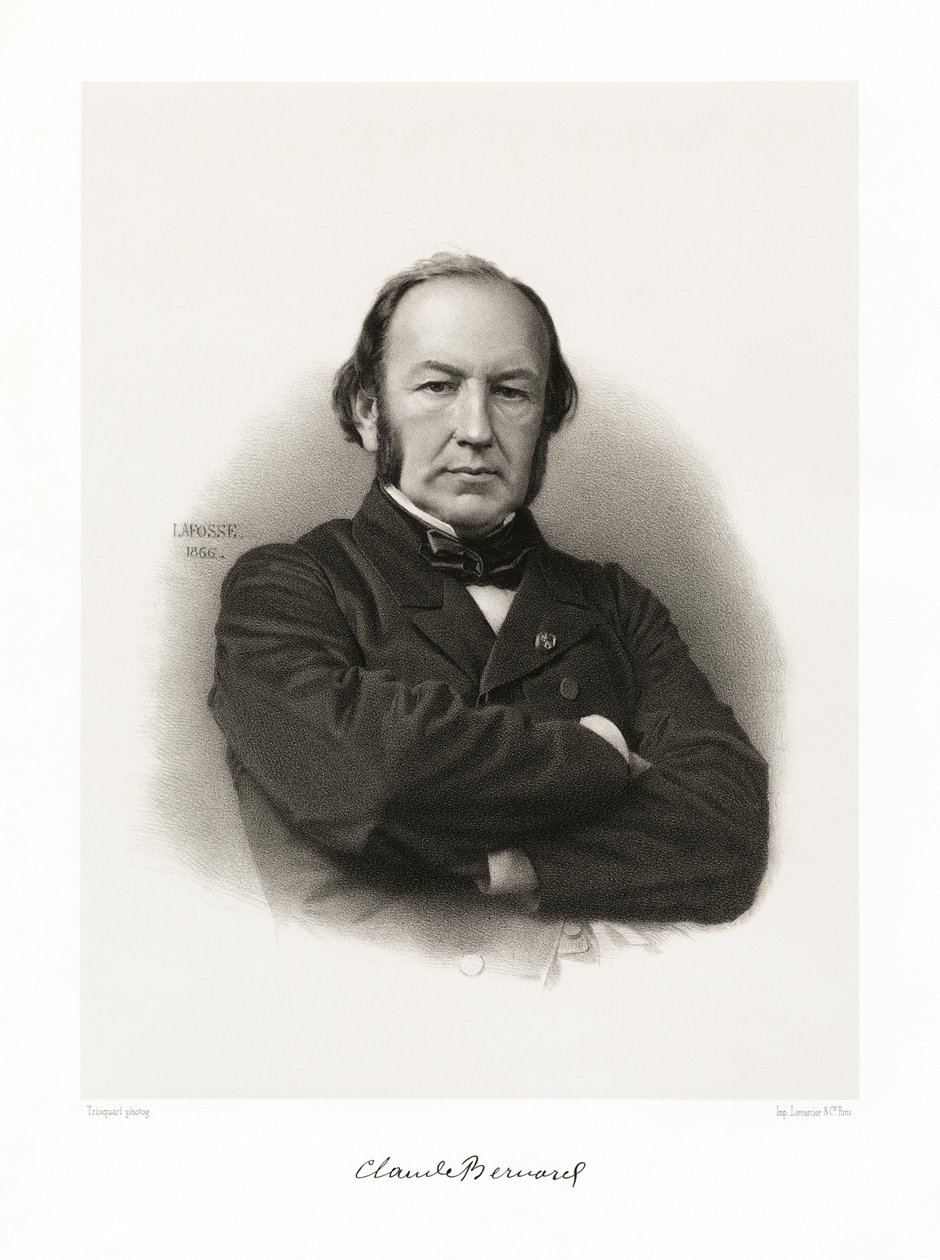 Claude Bernard af Jean Baptiste Adolphe Lafosse