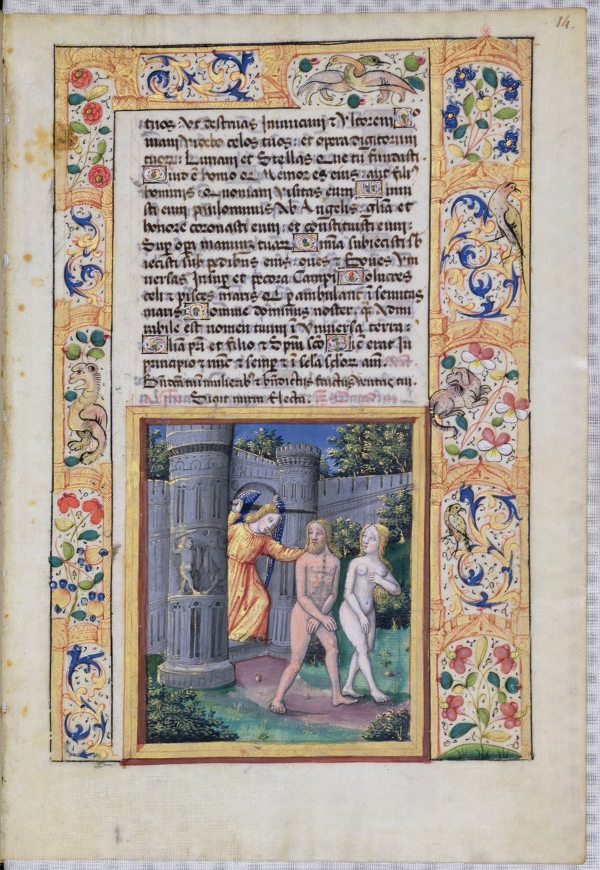 Fru Lat. Q.v.I.126 fol.14 Udvisning fra Edens Have, fra 