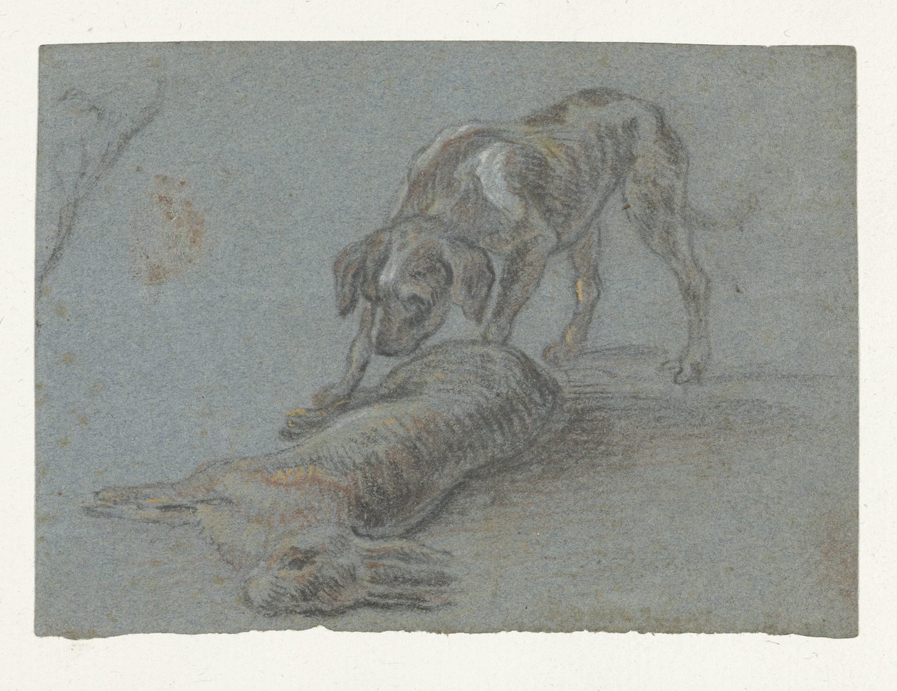 Hund med en skudt hare af Jean Baptiste Oudry (possibly)