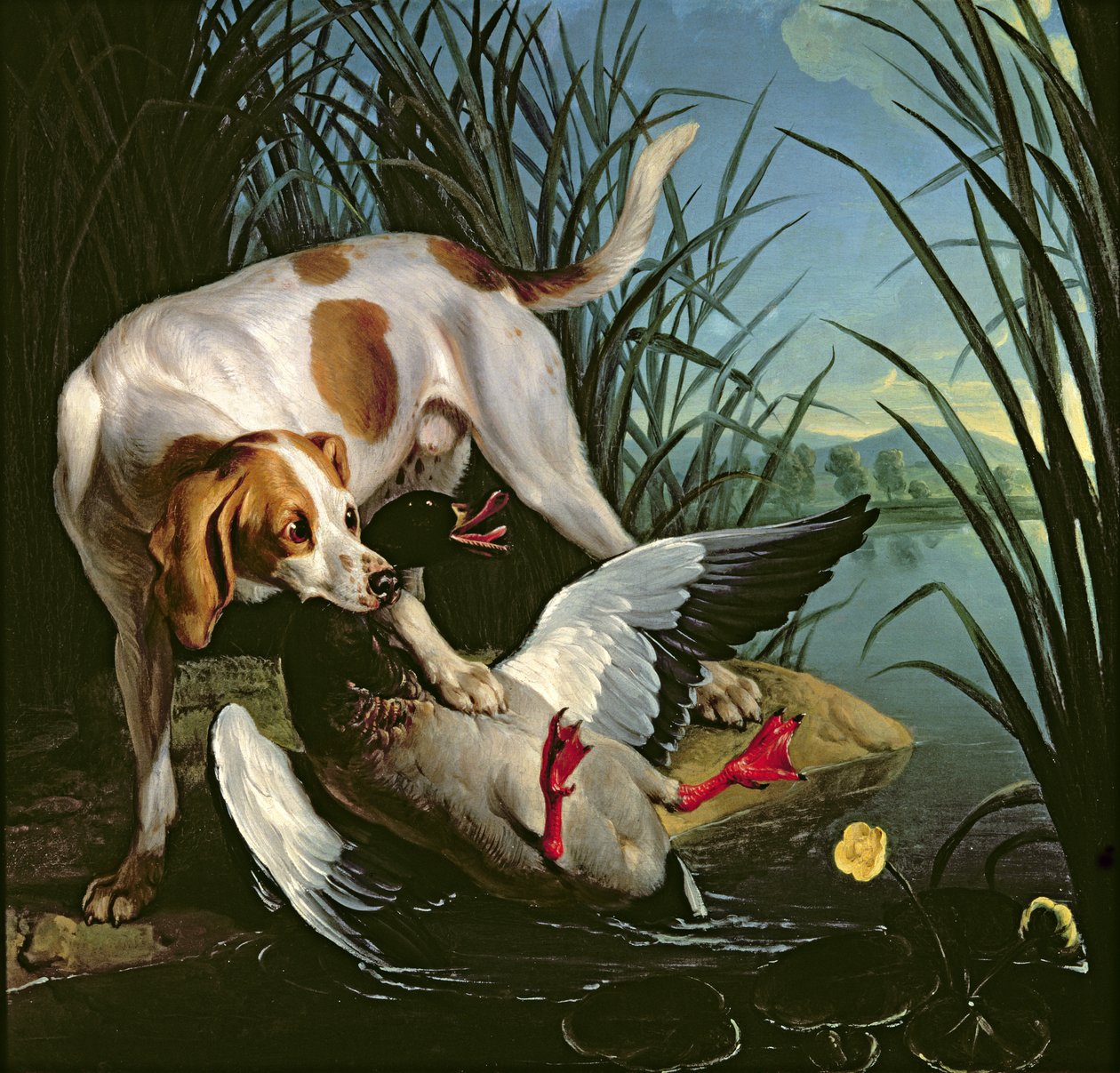 Hund med en vildand af Jean Baptiste Oudry